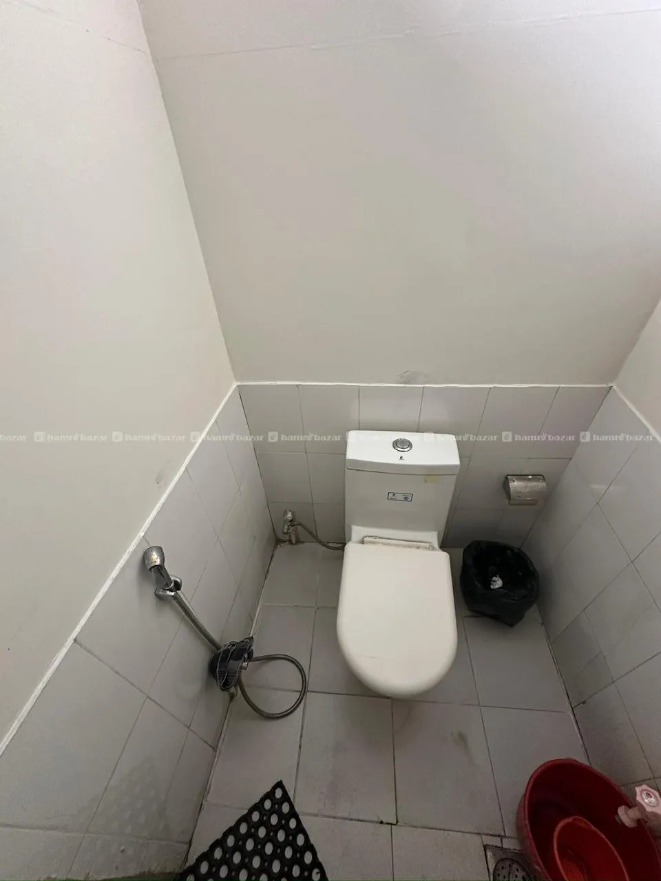 Image 8