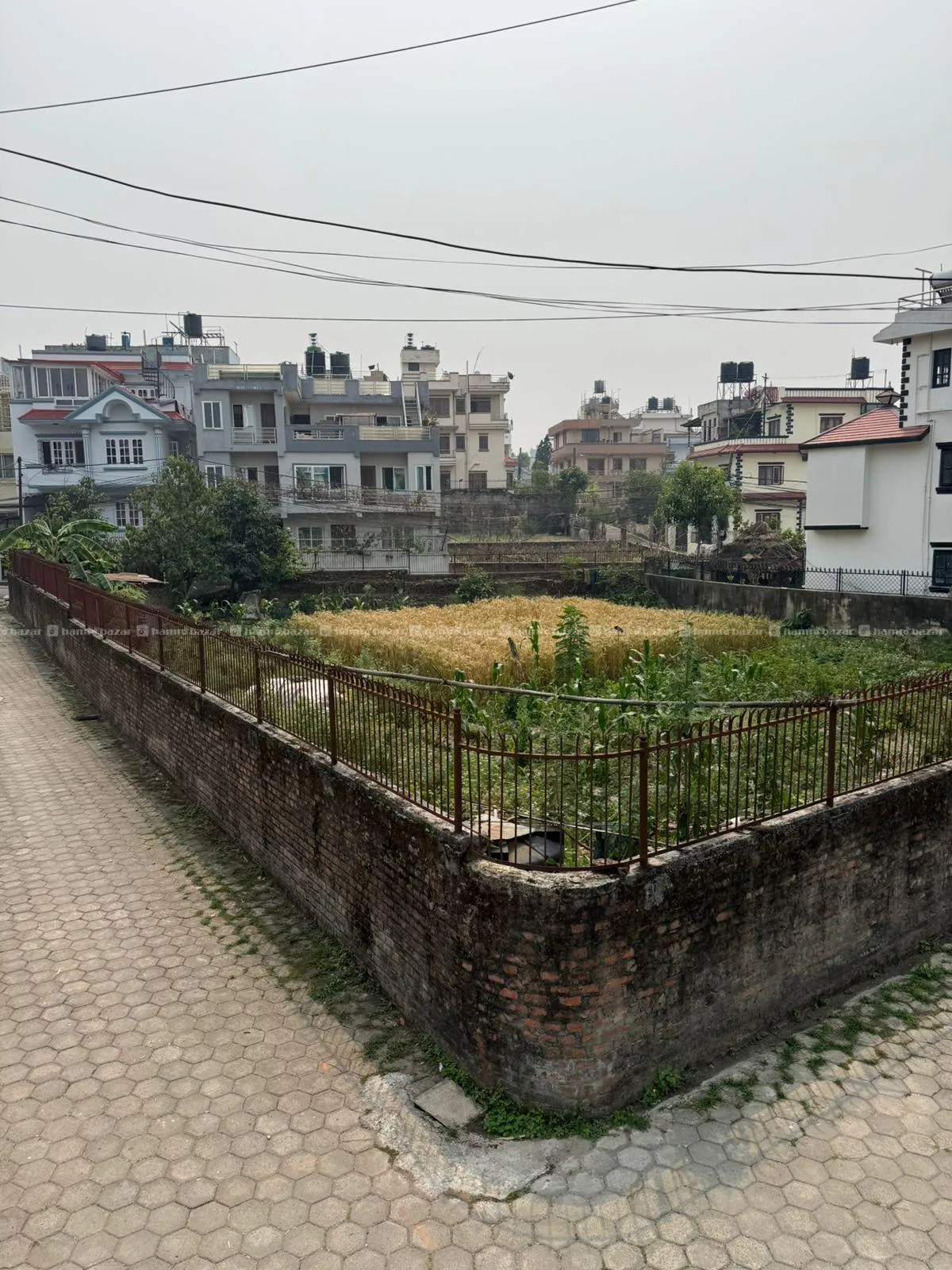 22 Ana prime Commerical land for rent - Dhapasi 4