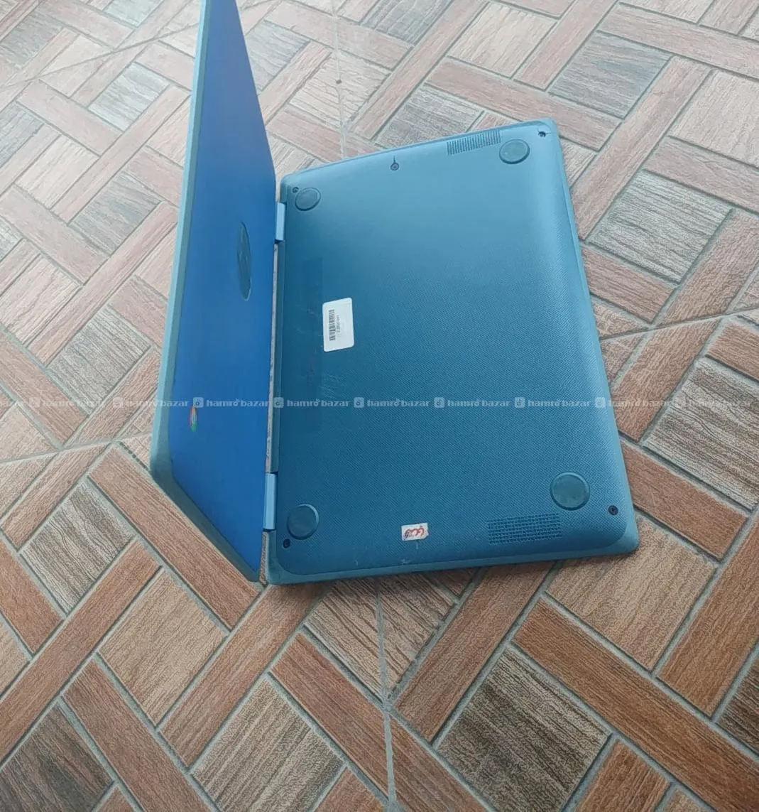 Image 7