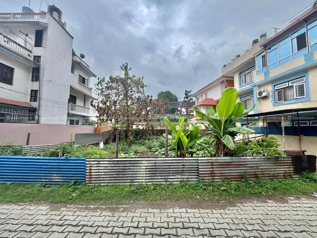 Image 3