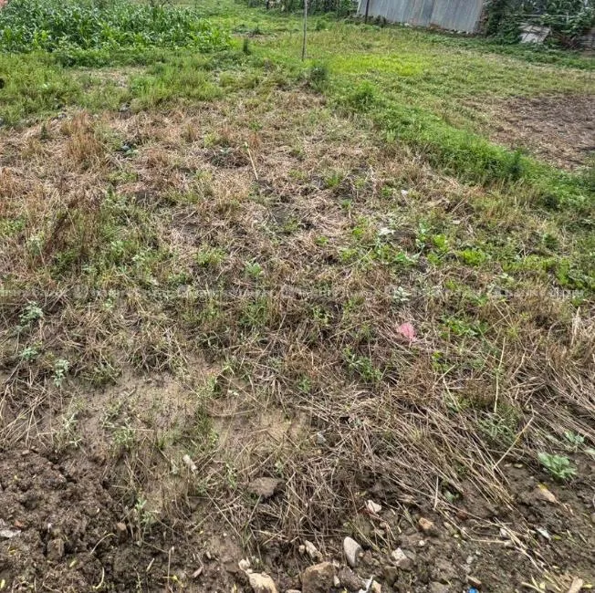 32 Aana Land On Sell In Sanepa near Kharibot