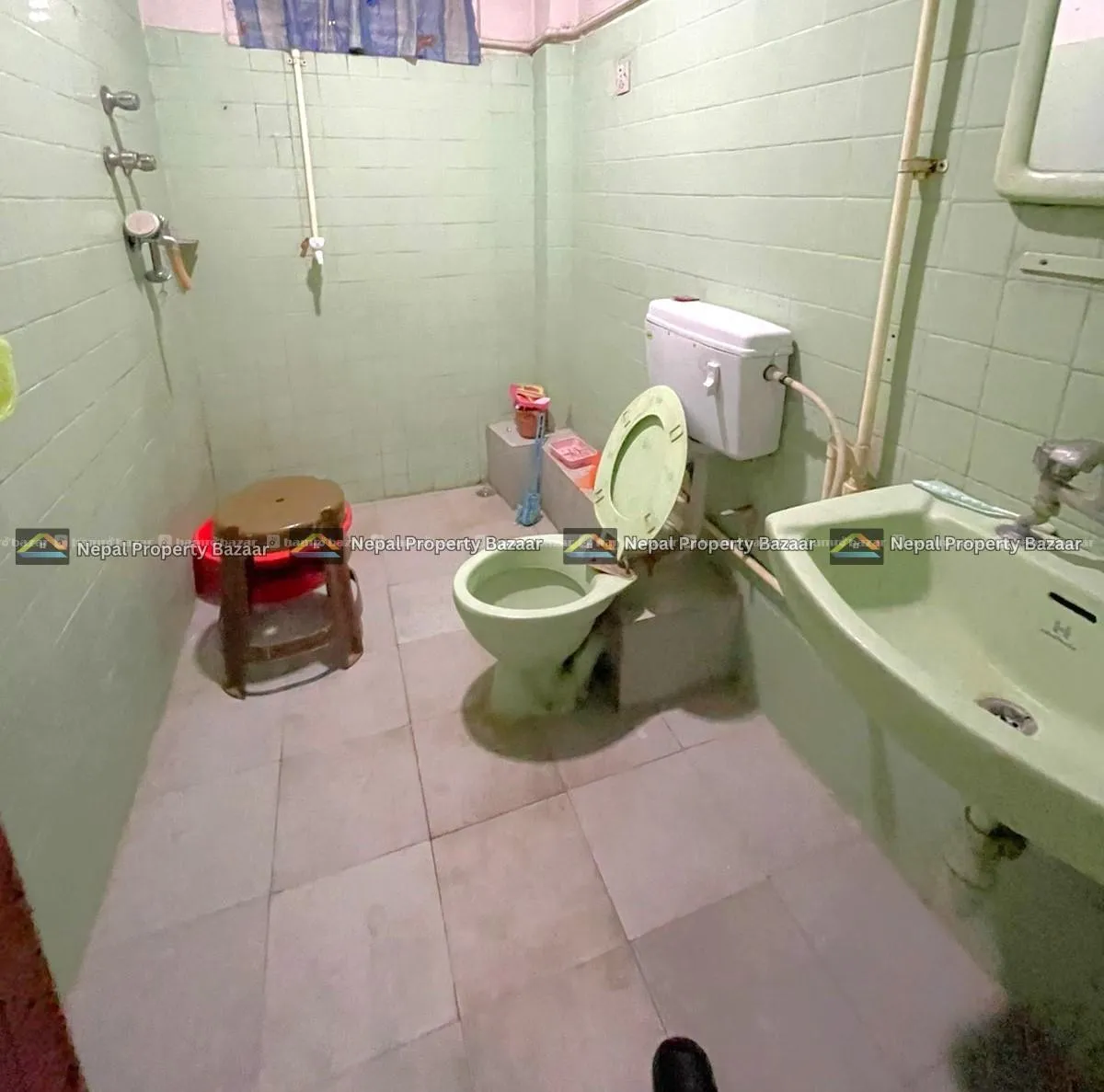 Image 5