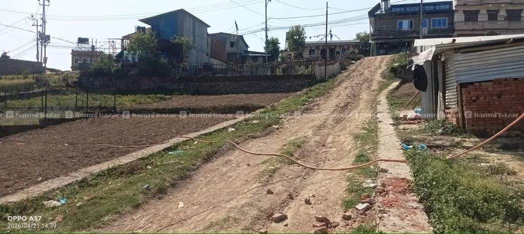 Image 6