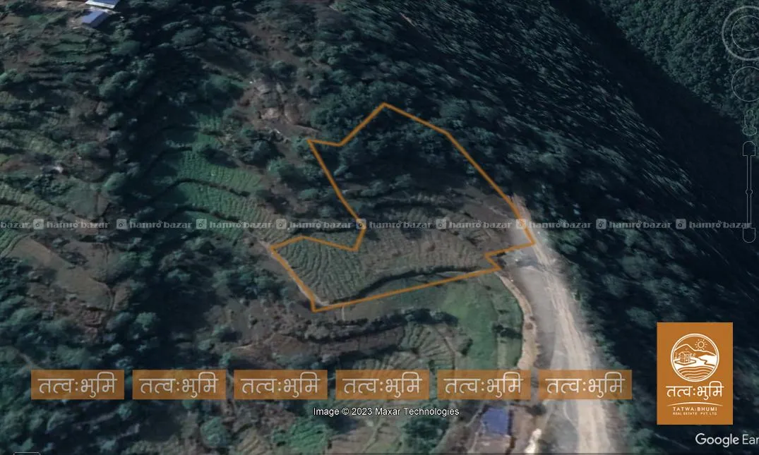Image 5