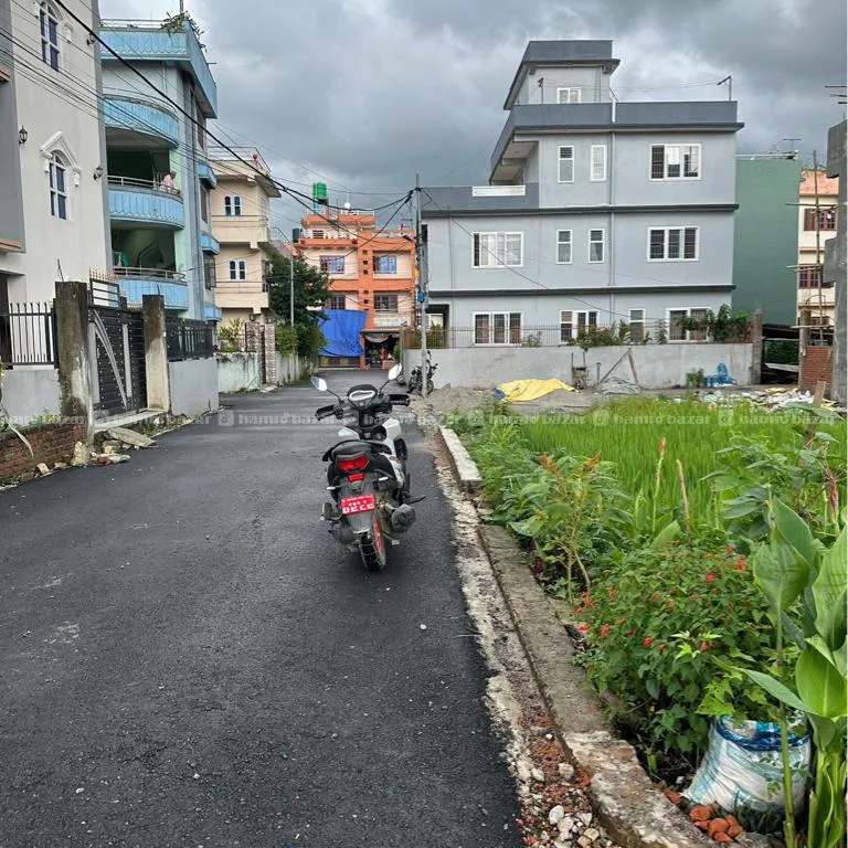 Image 5