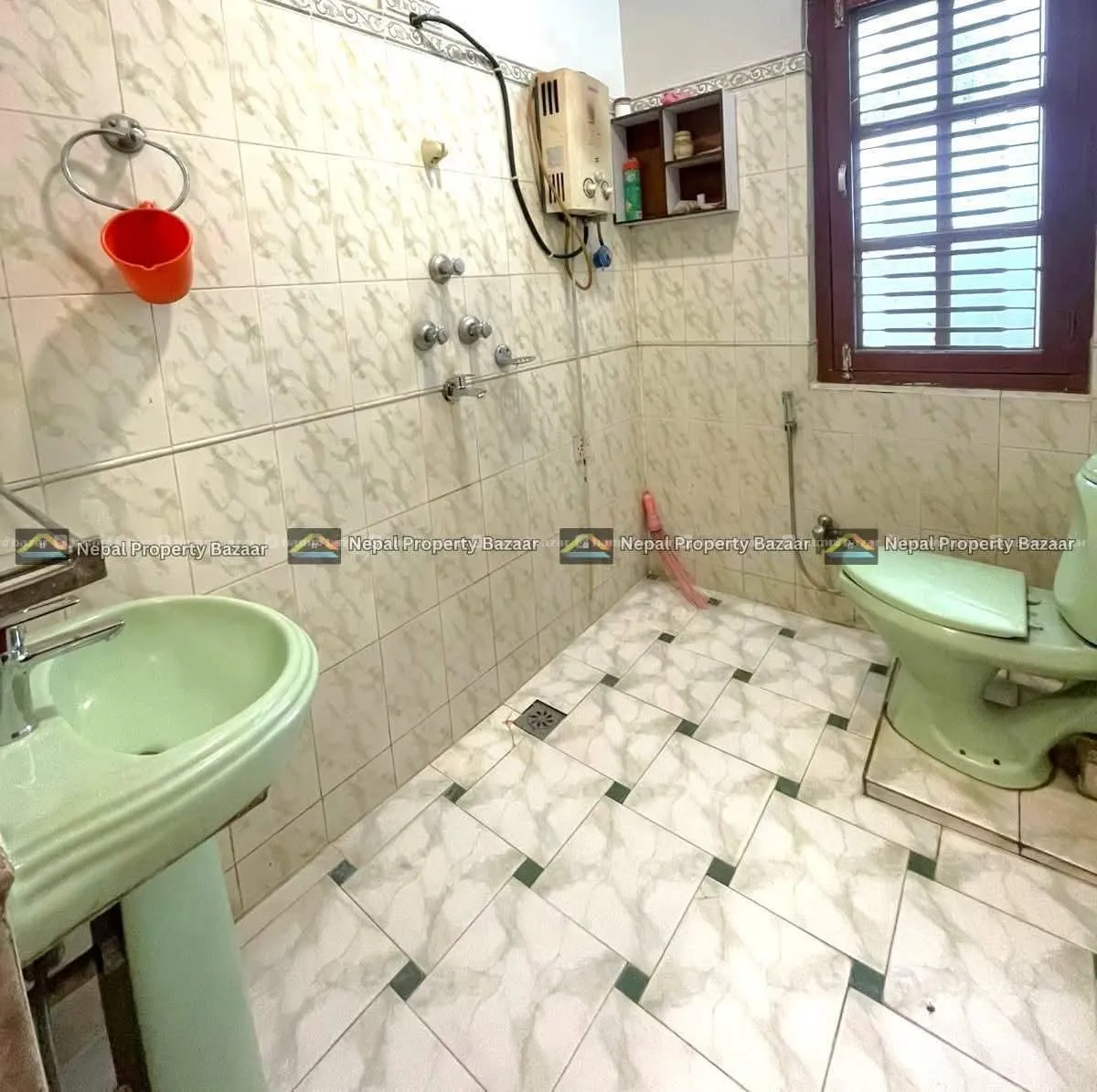 Image 7