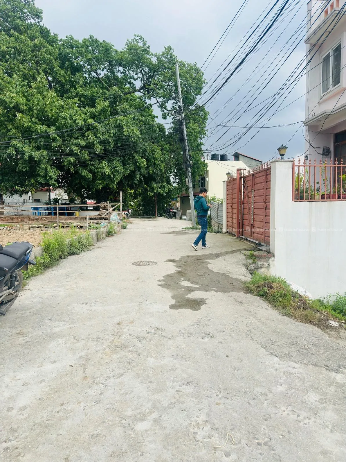 Image 4