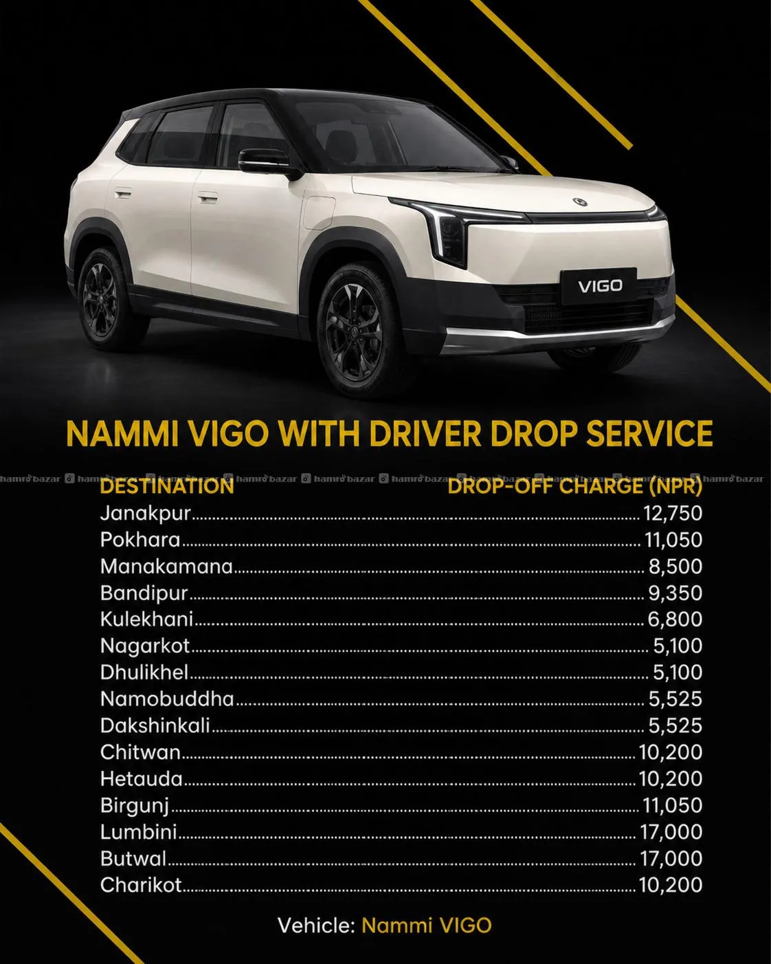 NAMMI Vigo with Driver 1