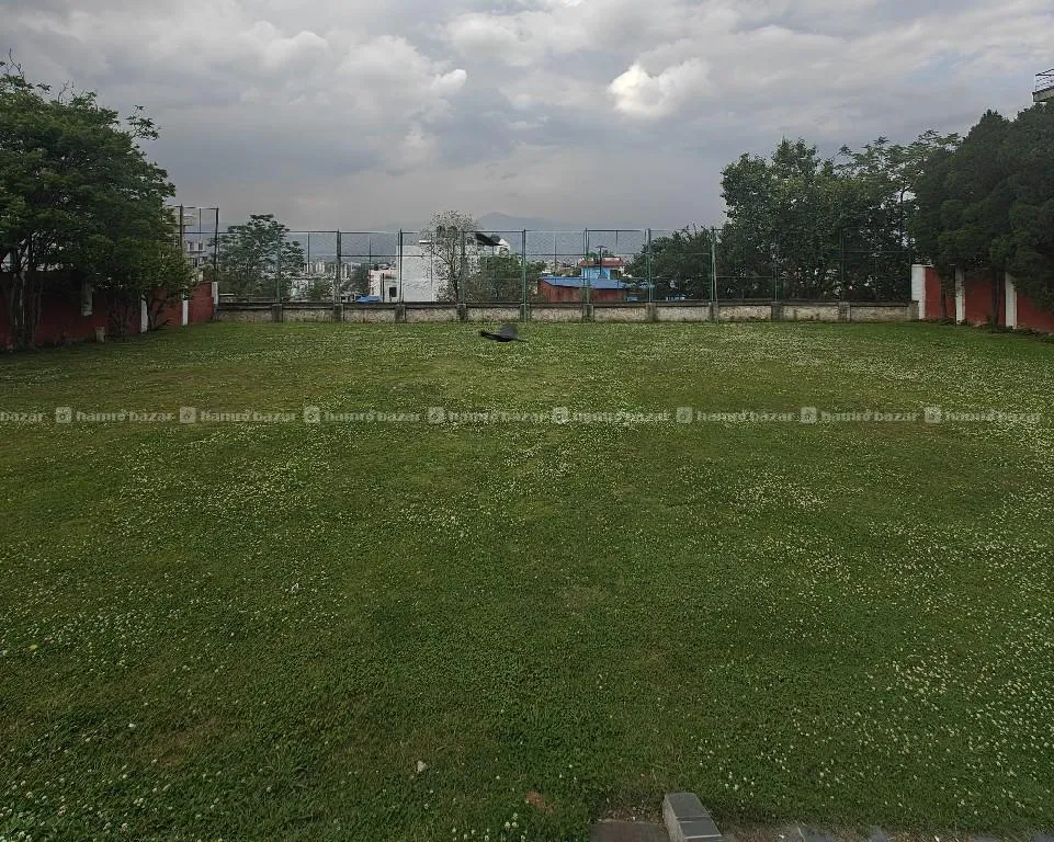Image 6