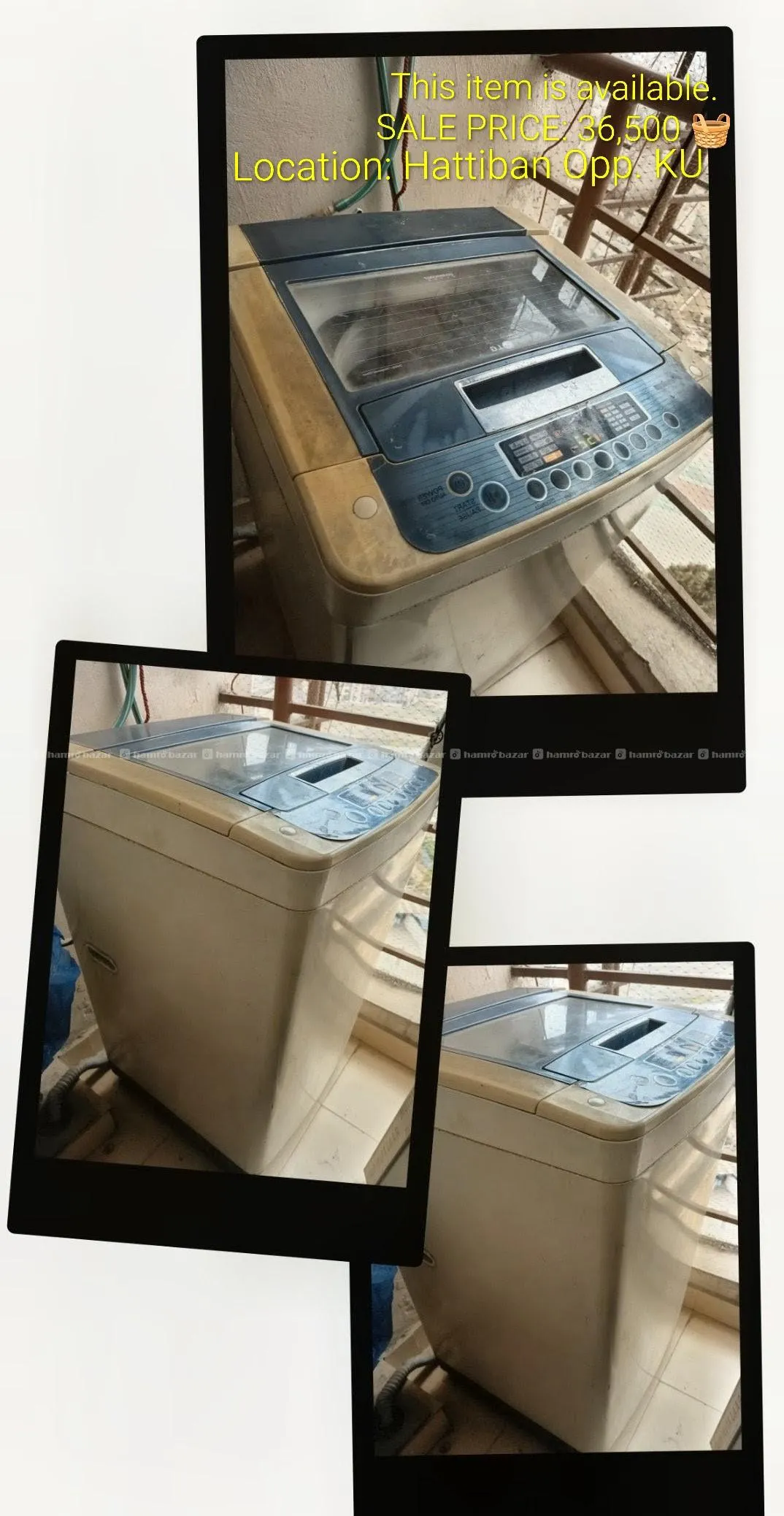 Image 4
