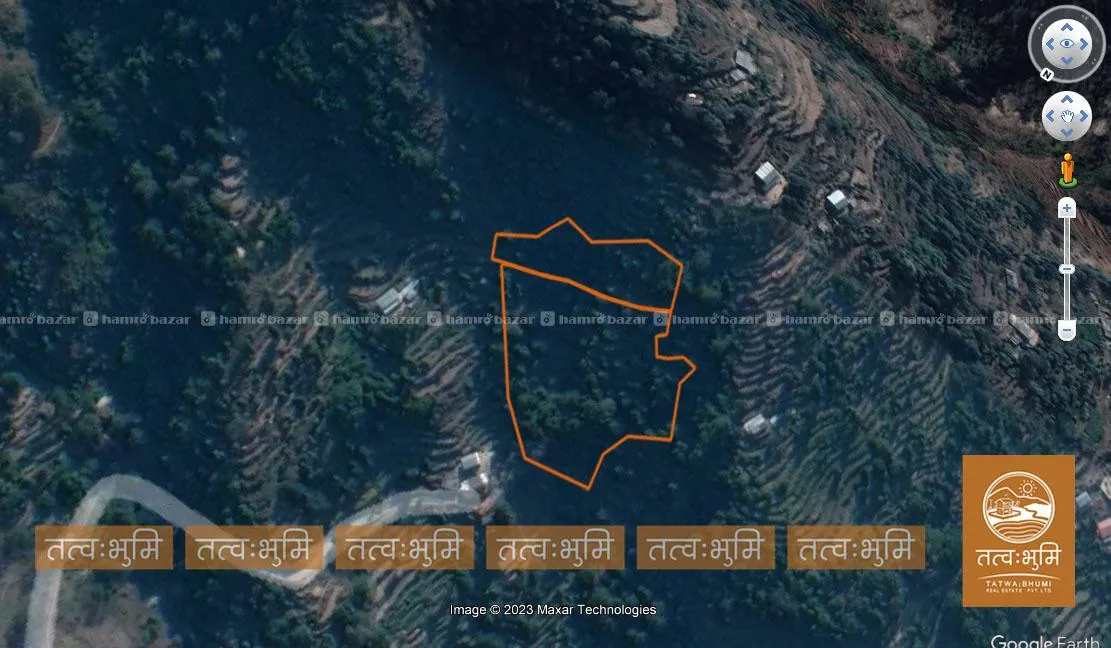 Image 5