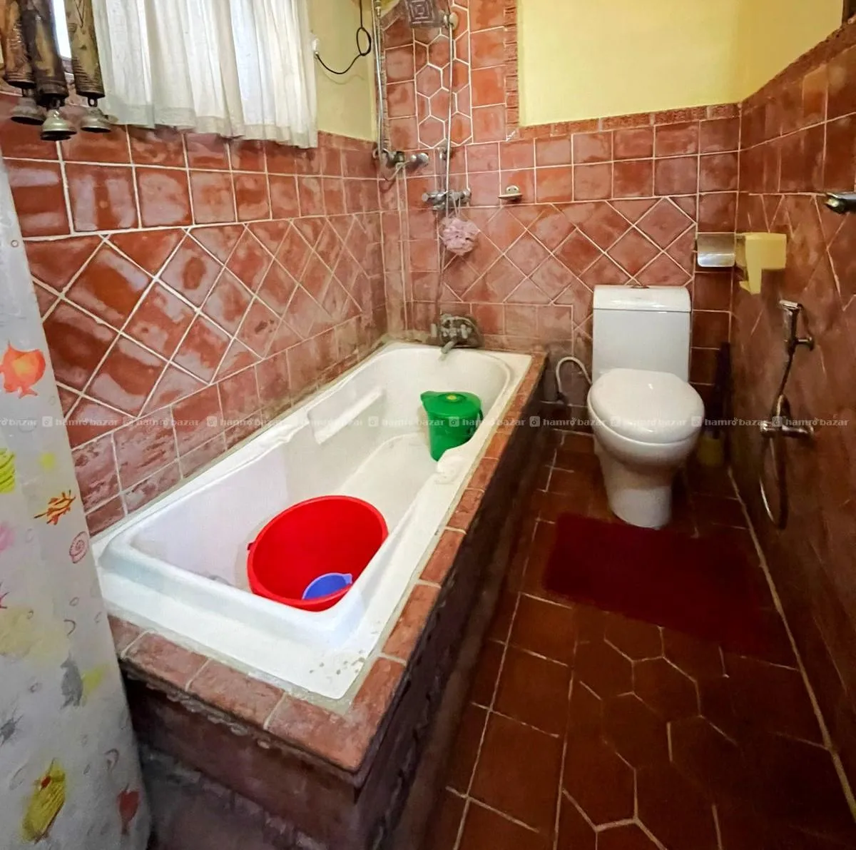 Image 6