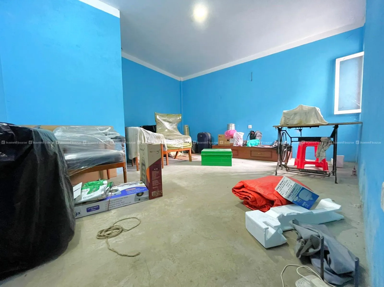 Image 5