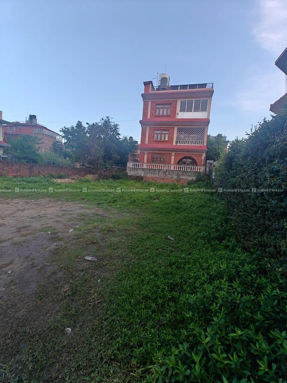 Image 4