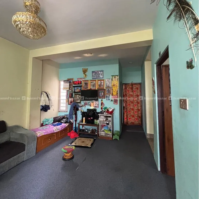 Image 6
