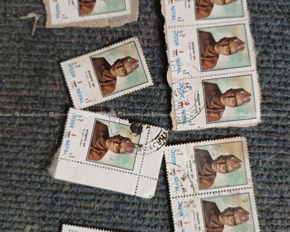 Image 2
