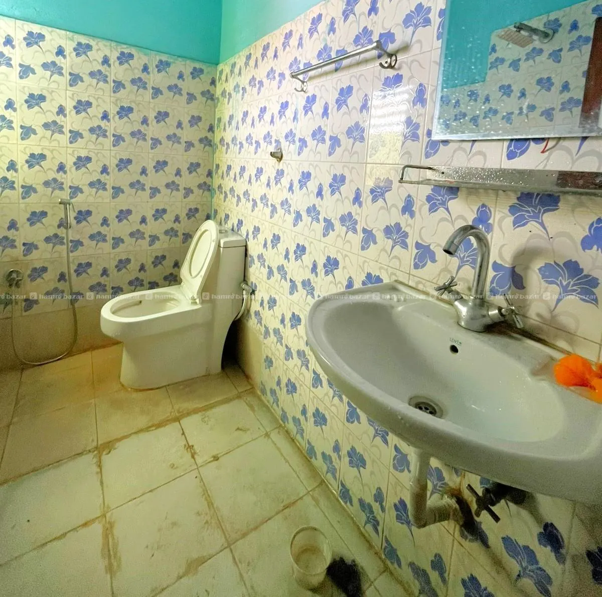 Image 5