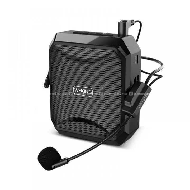 KS01 W-king Bluetooth speaker teaching mic 2