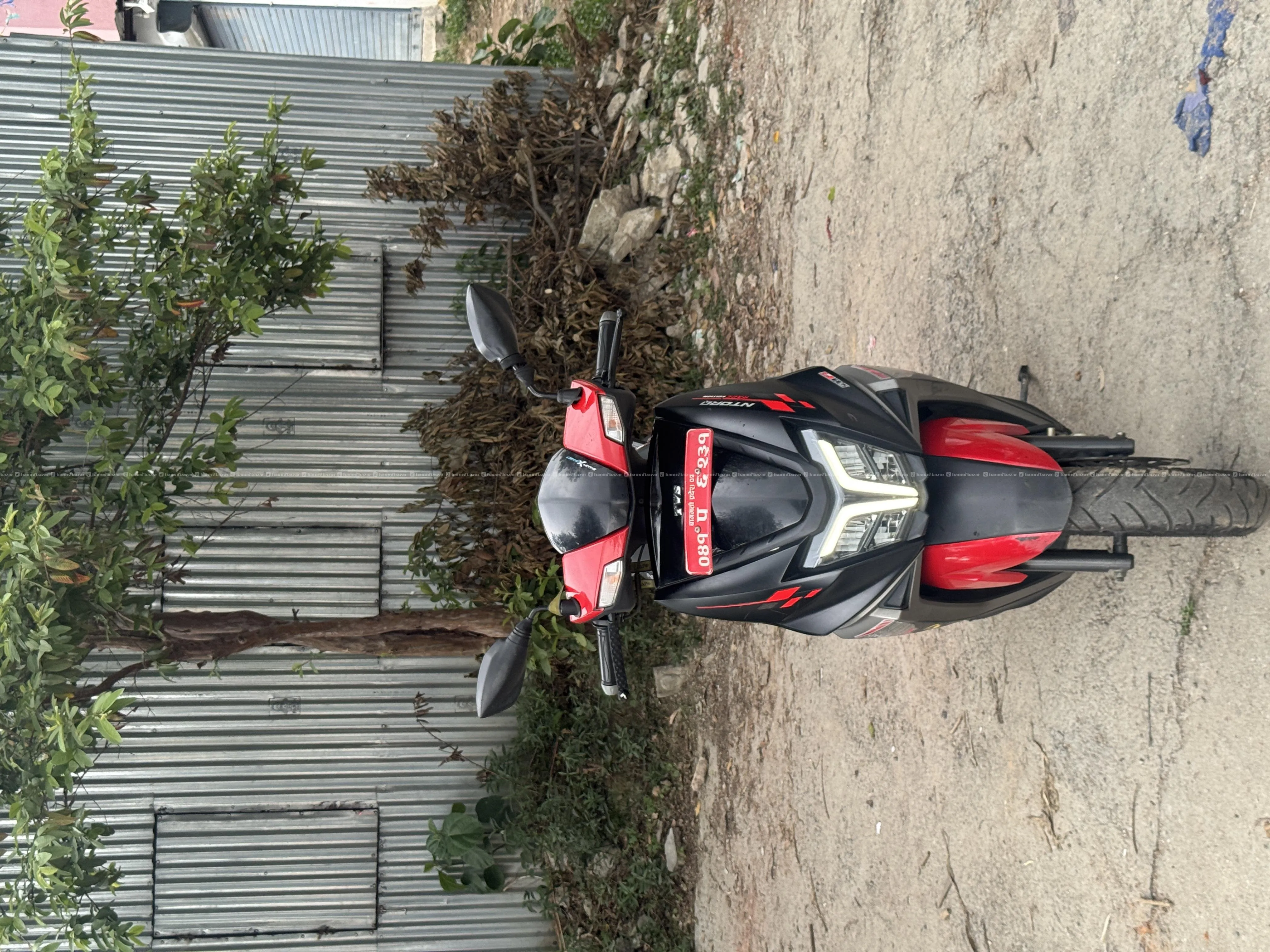 Image 2