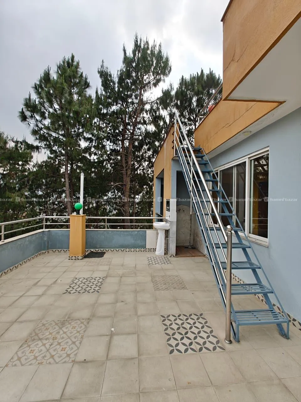Image 6