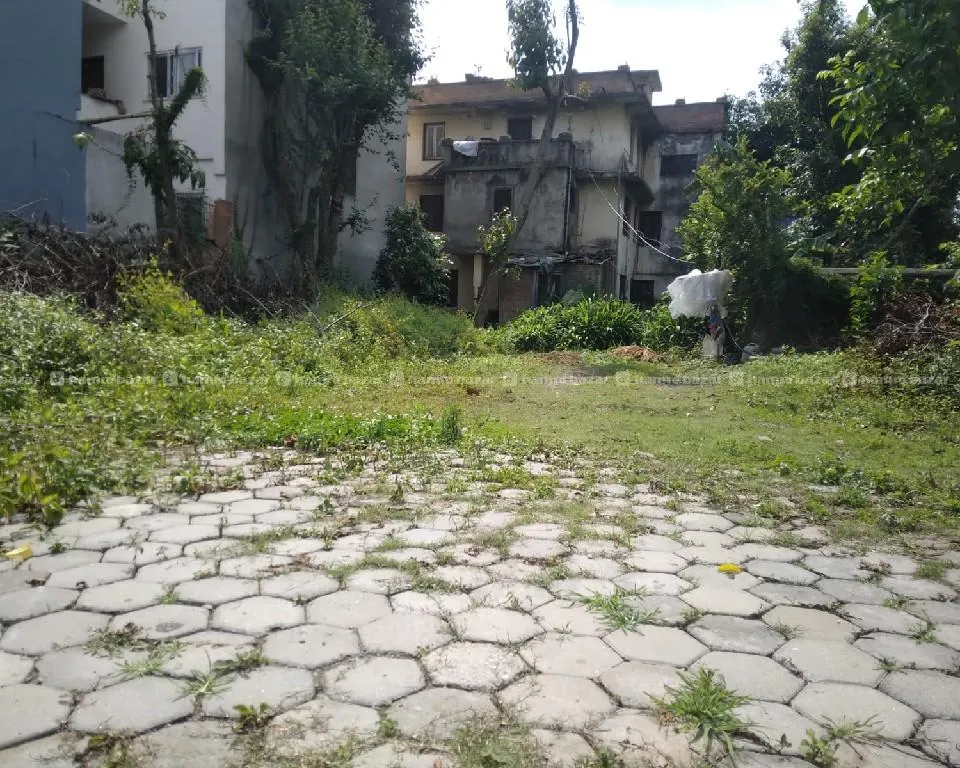 Image 4