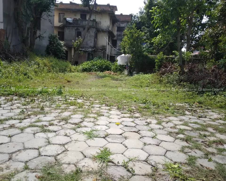 Image 6