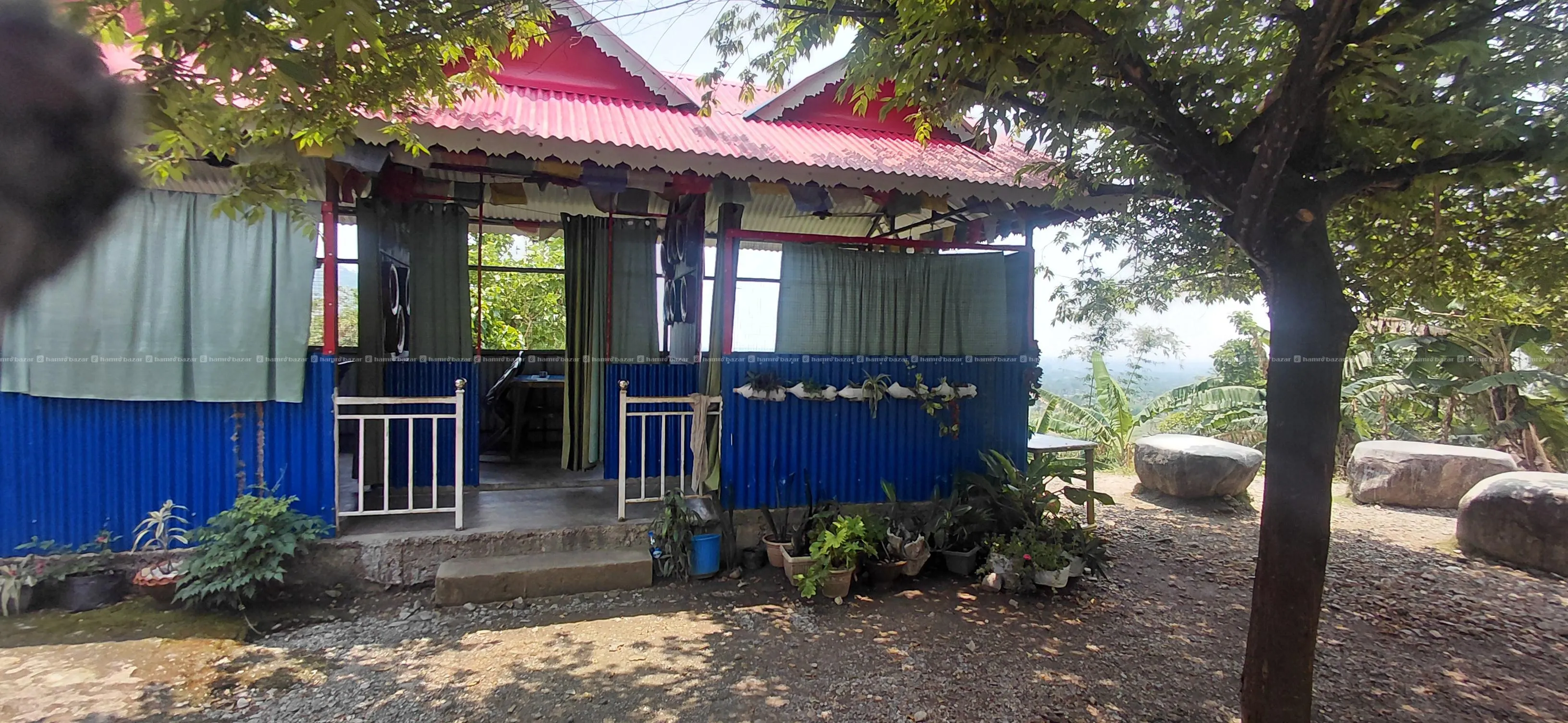 Image 5