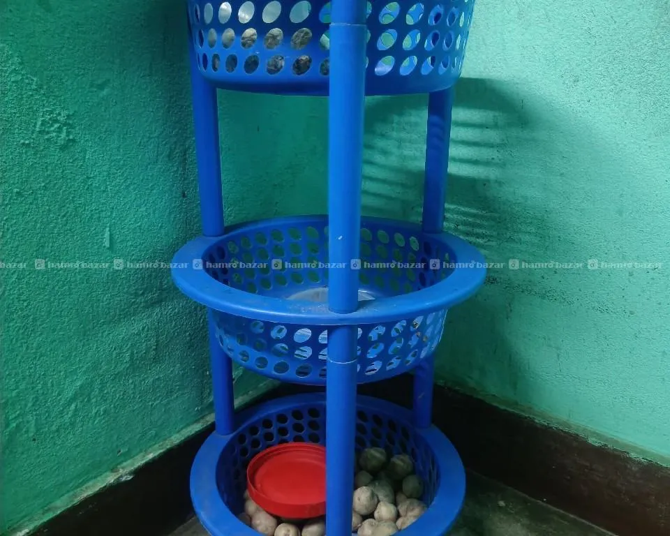 Image 4
