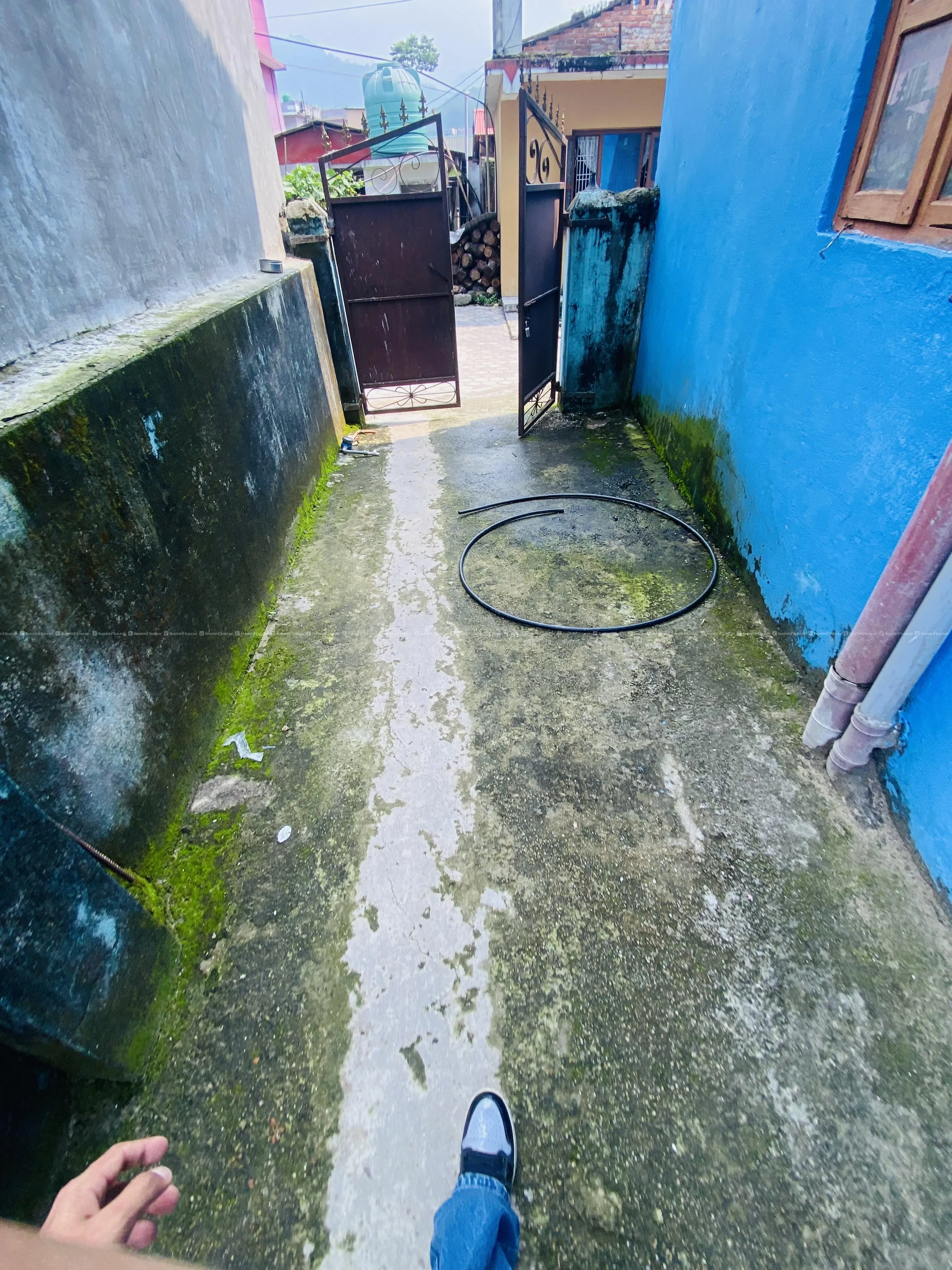 Image 6