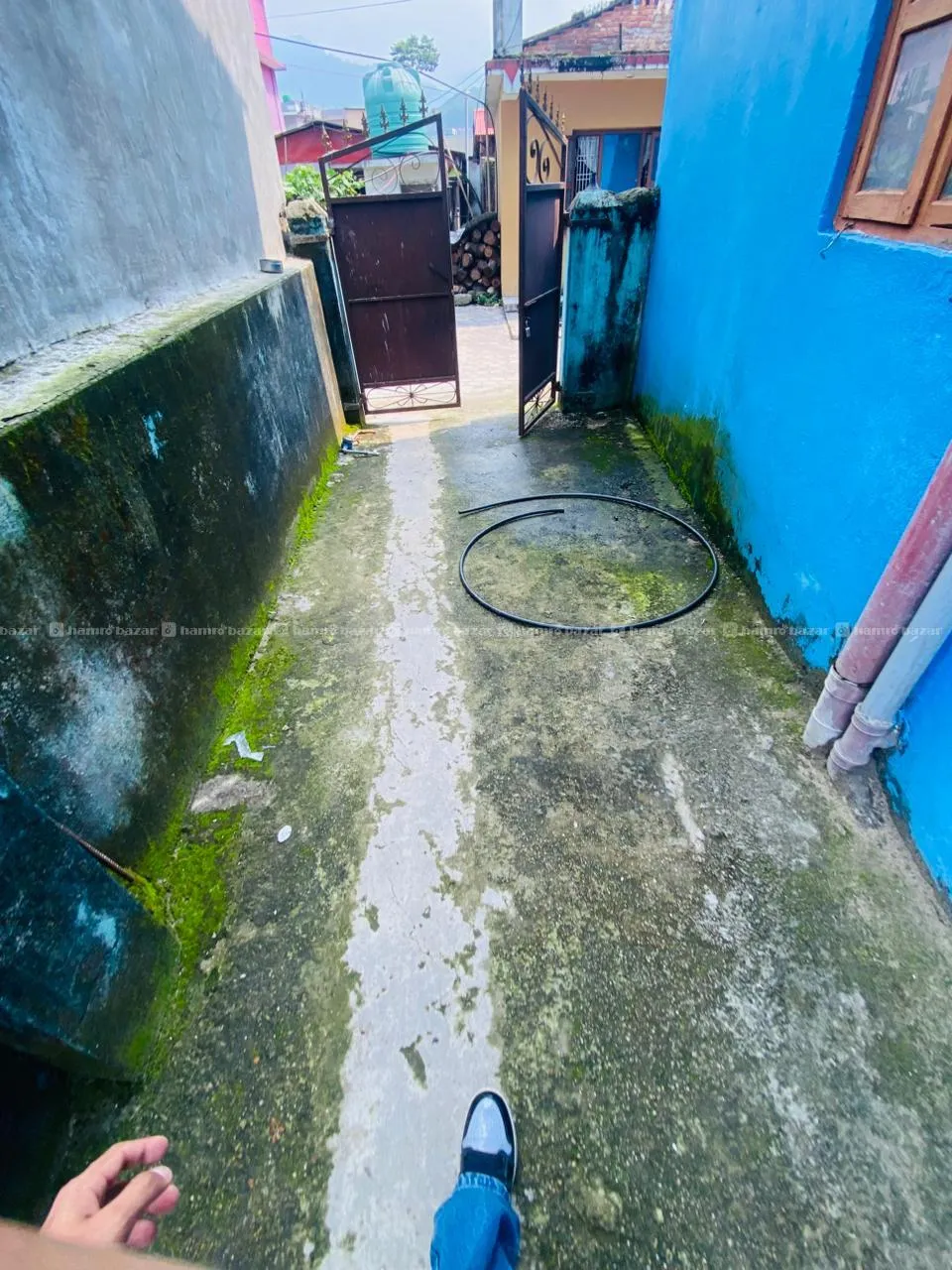 Image 6