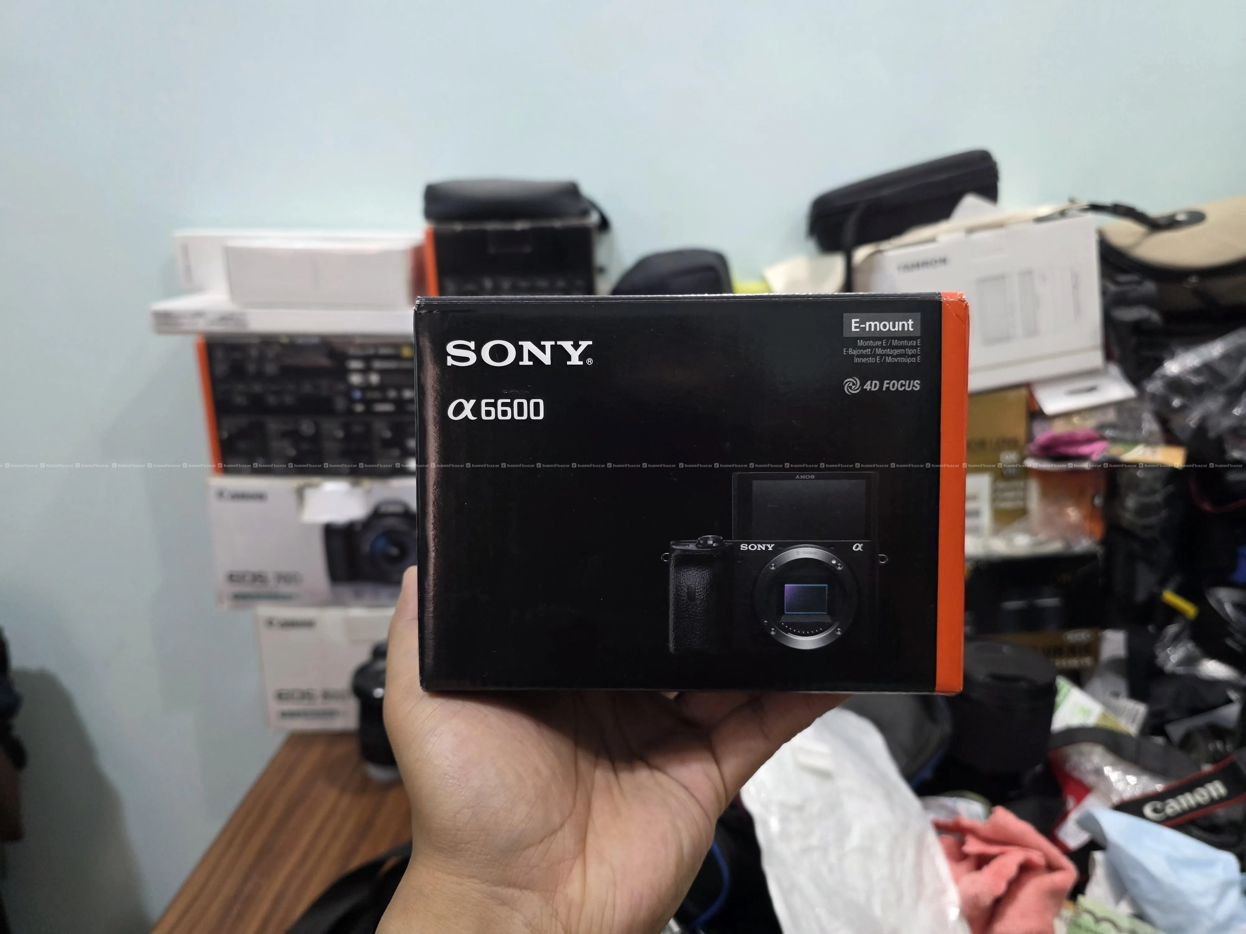 Sony A6600 Mirrorless Camera 1
