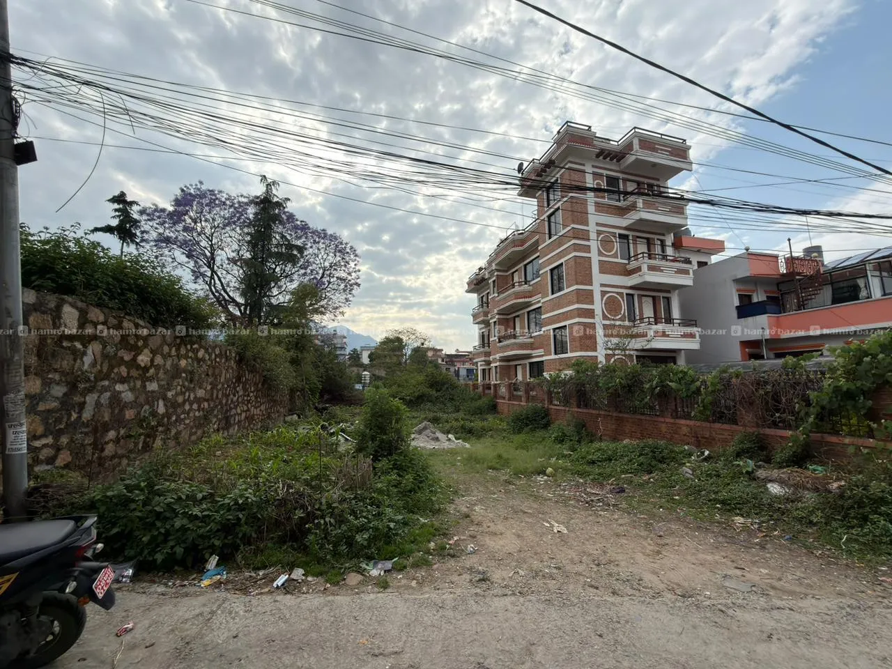 Image 5