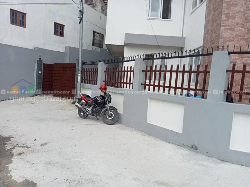 Image 7