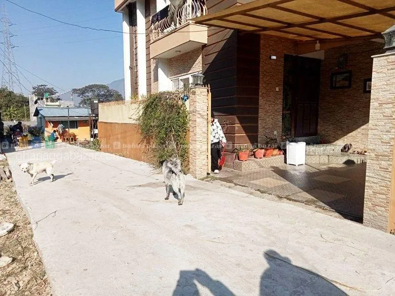 Image 5