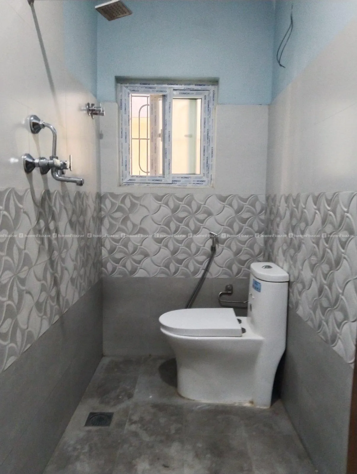 Image 7