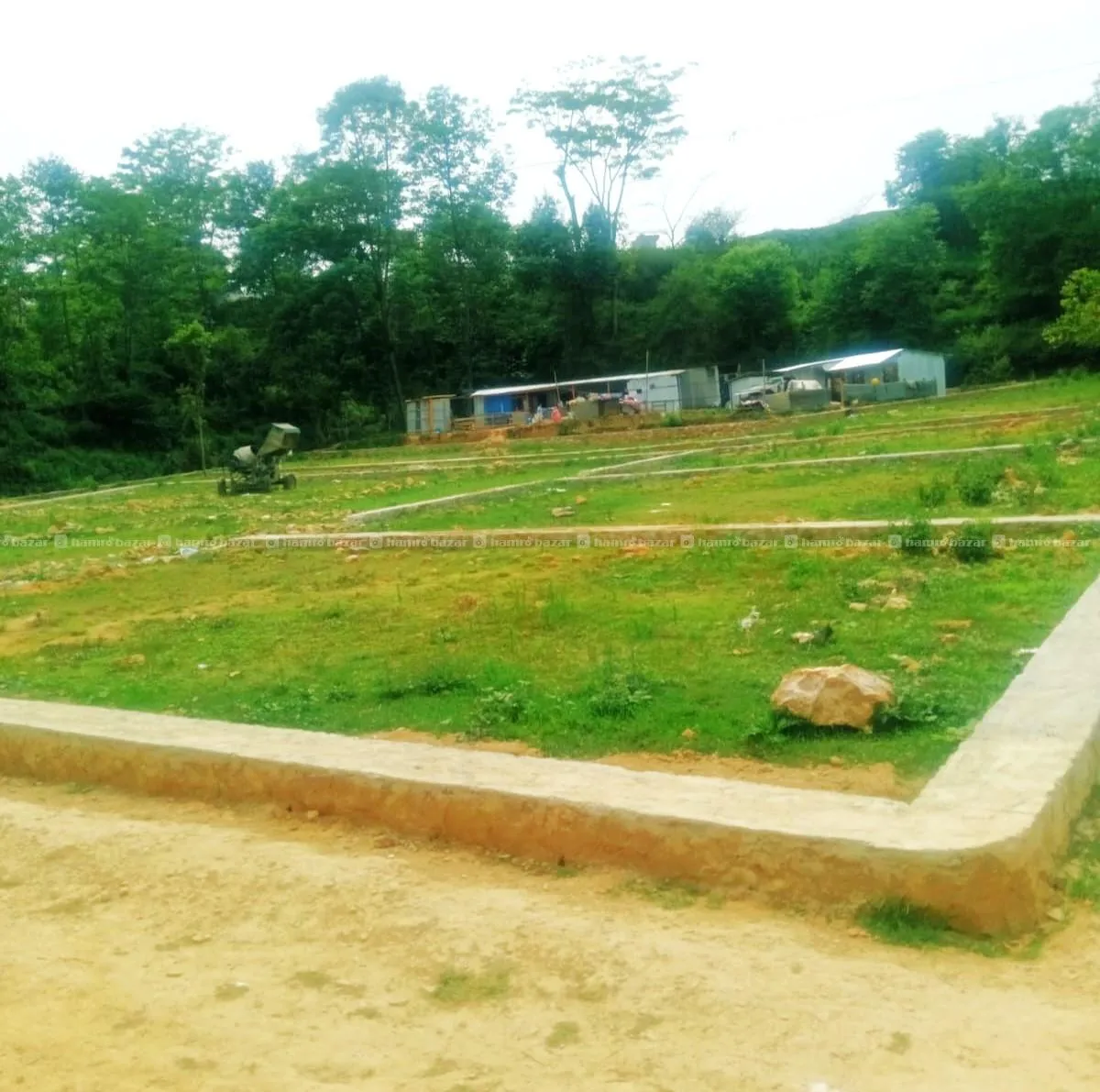 Image 4