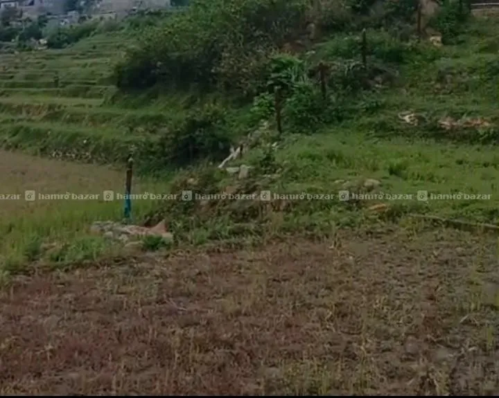 Image 6