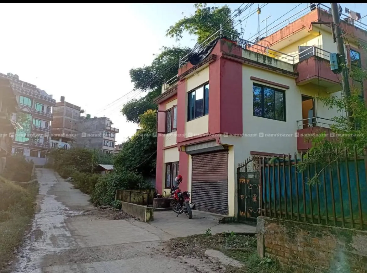 Image 4