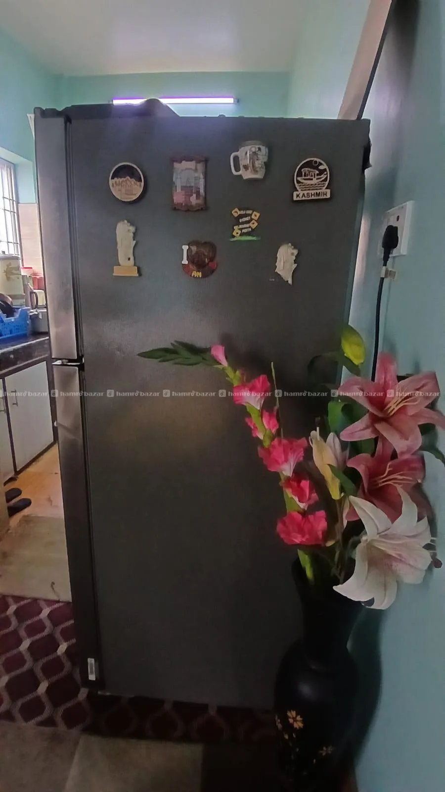 Image 5