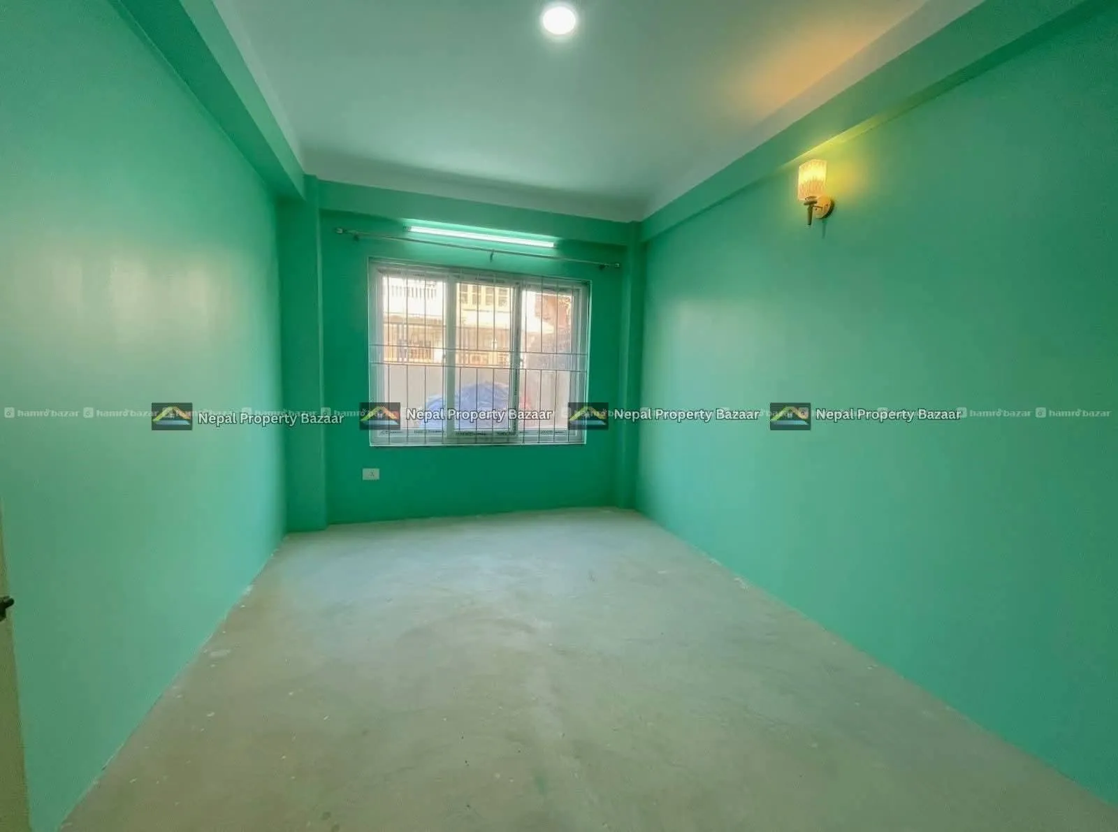 Image 7