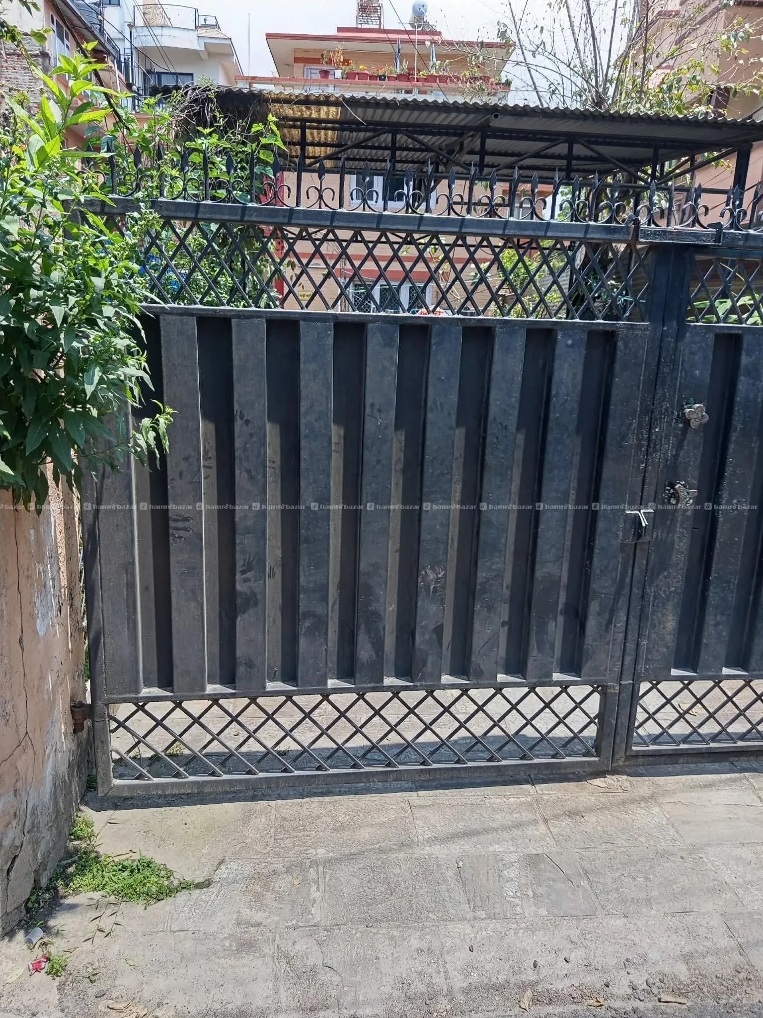 Image 6