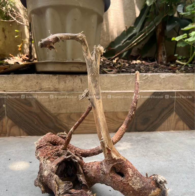 Drift Wood (local)on Sell 5