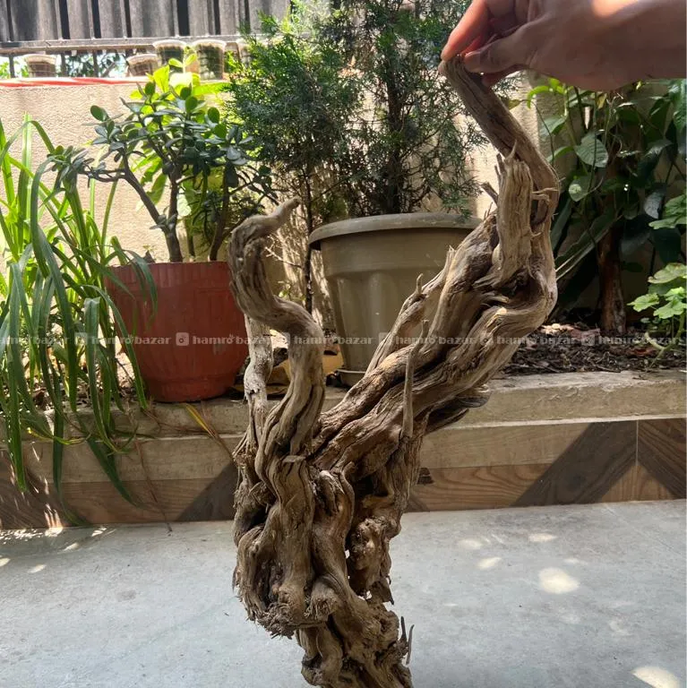 Drift Wood (local)on Sell 2