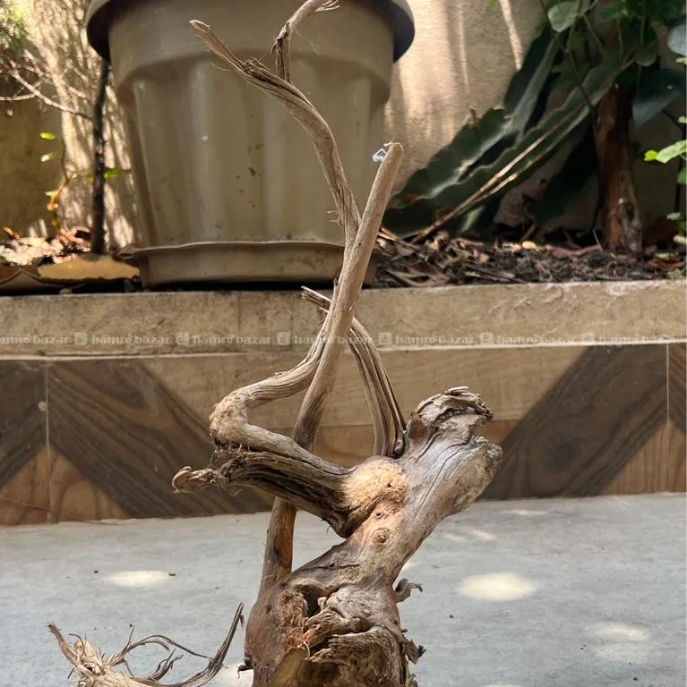 Drift Wood (local)on Sell 4