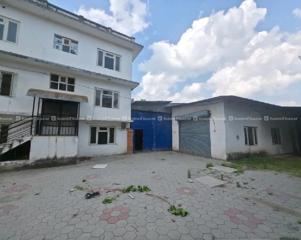 Image 6