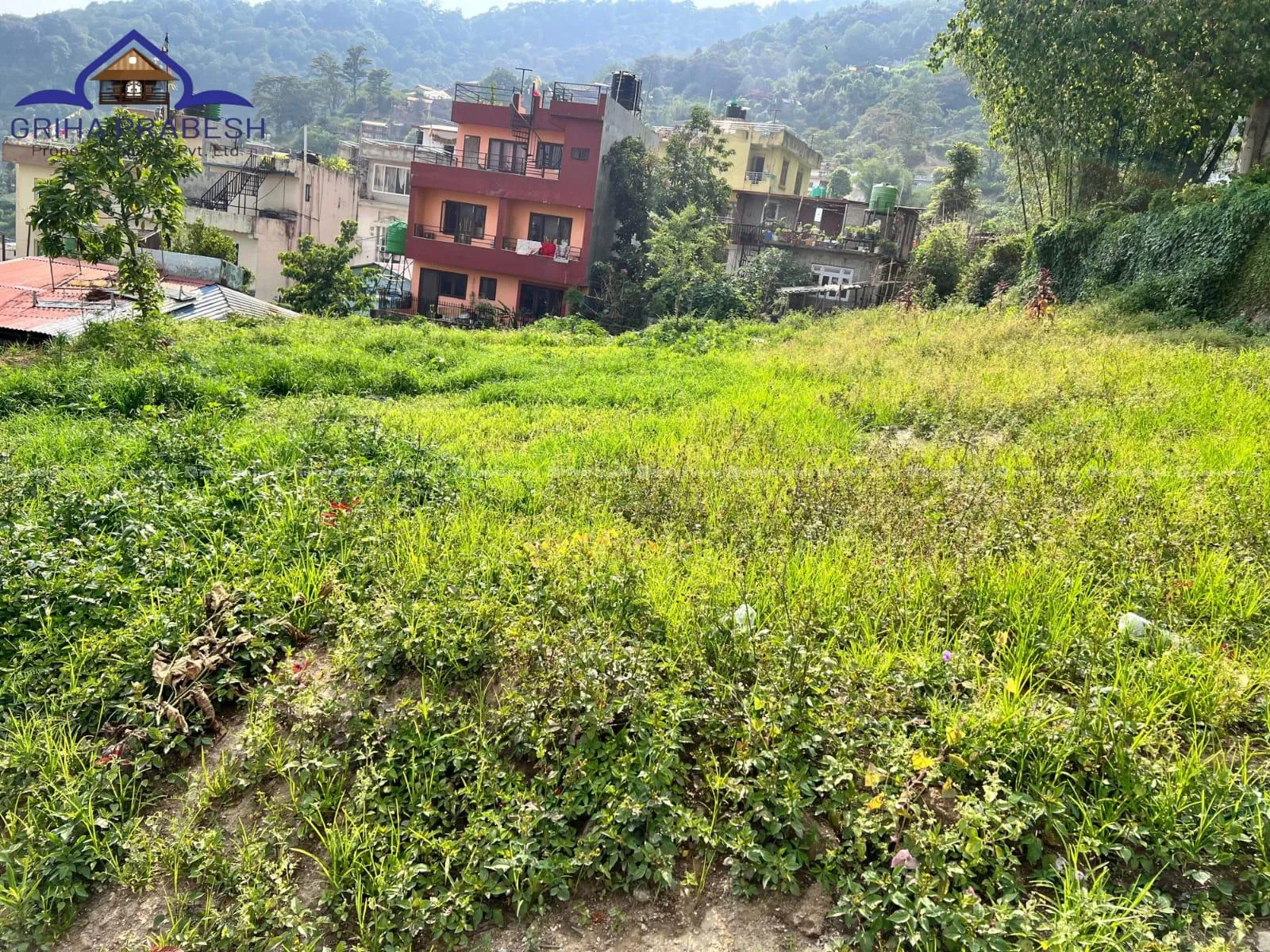 Image 4