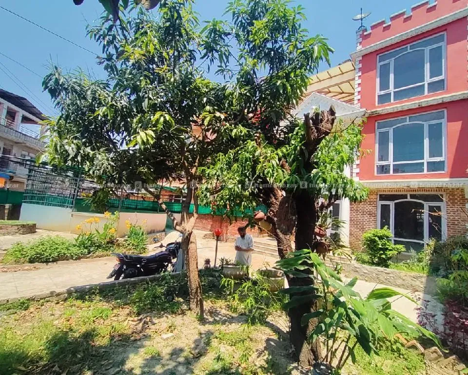 Image 4