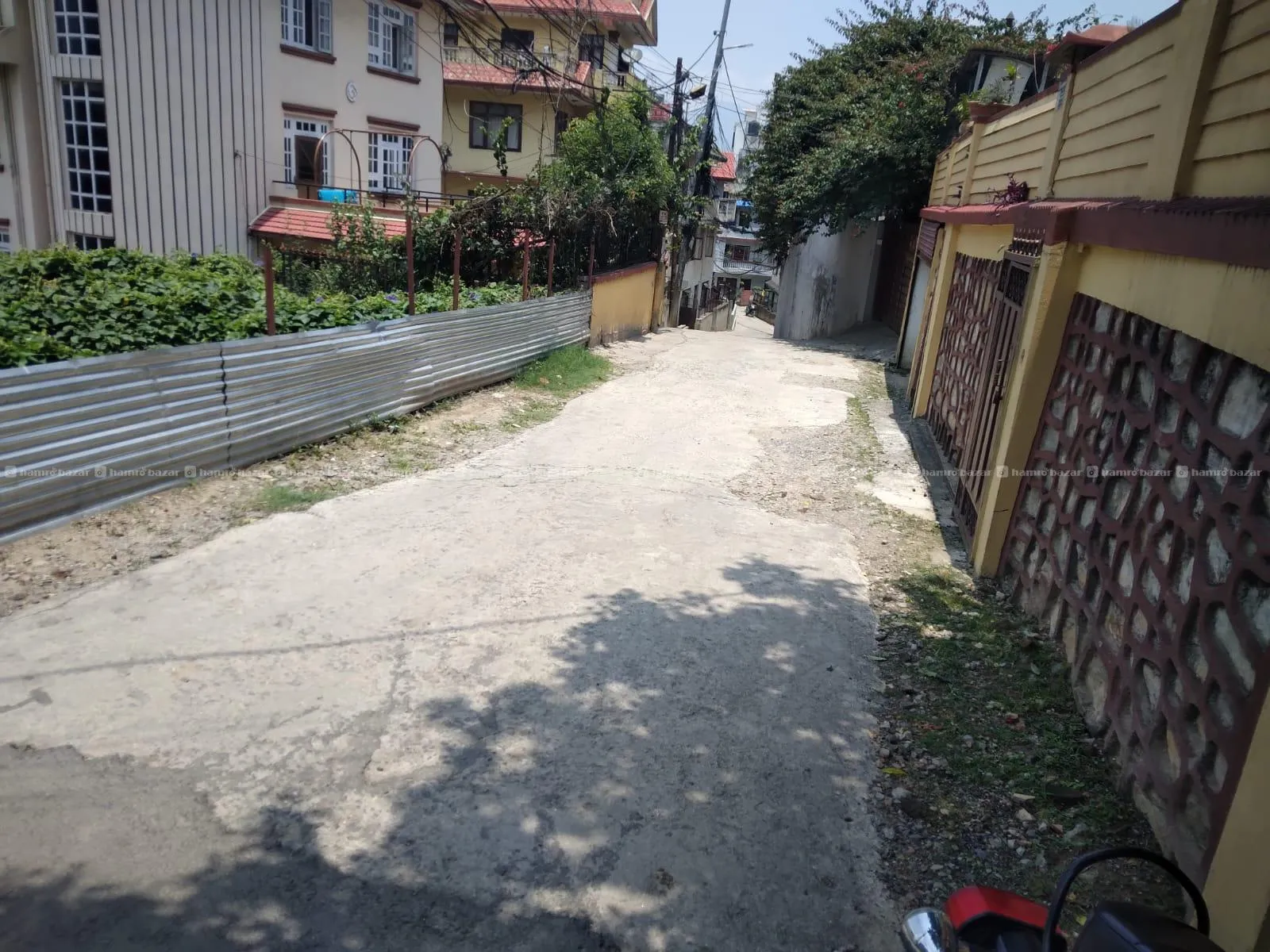 Image 4