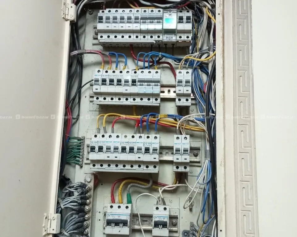 electric and electrician. 2