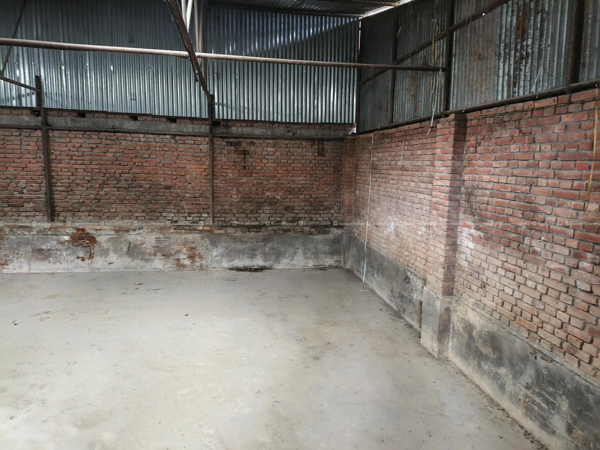 Image 7